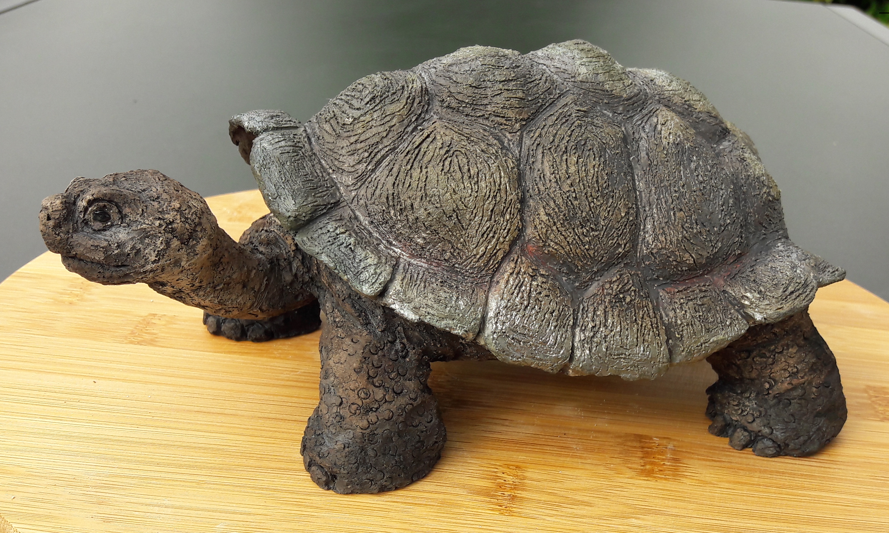 Tortue geante