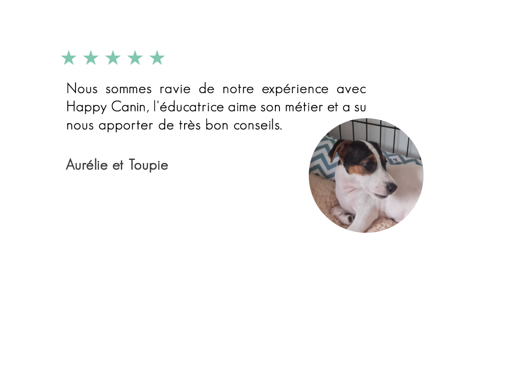 Toupie