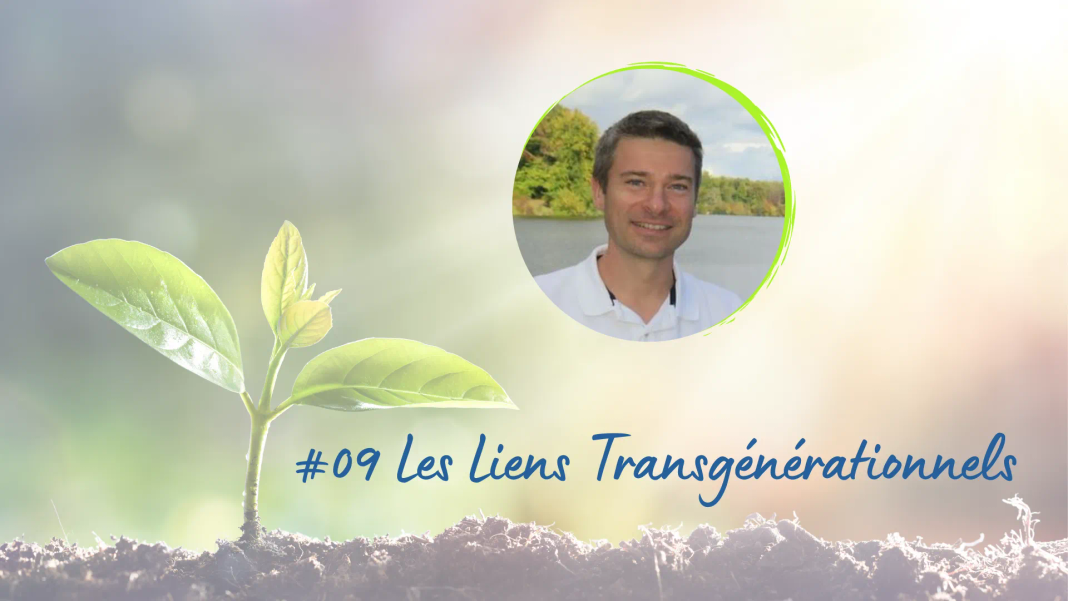 Les liens Transgénérationnels