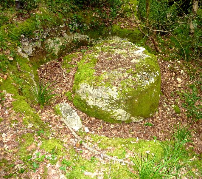 P1050894