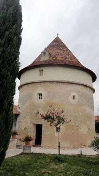 Dsc02134