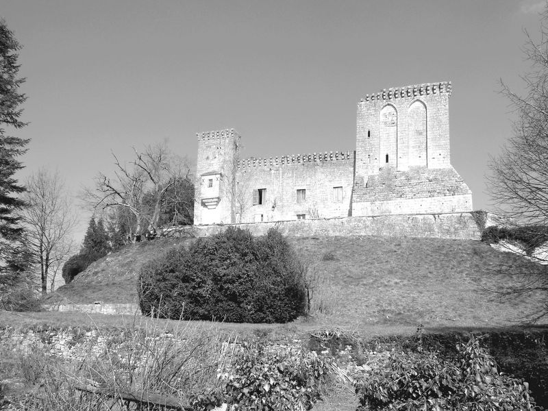 La tour blanche bn