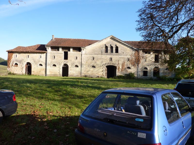 P1070555