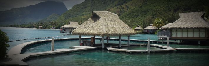 Moorea dolphin centre 01