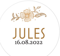 Jules4