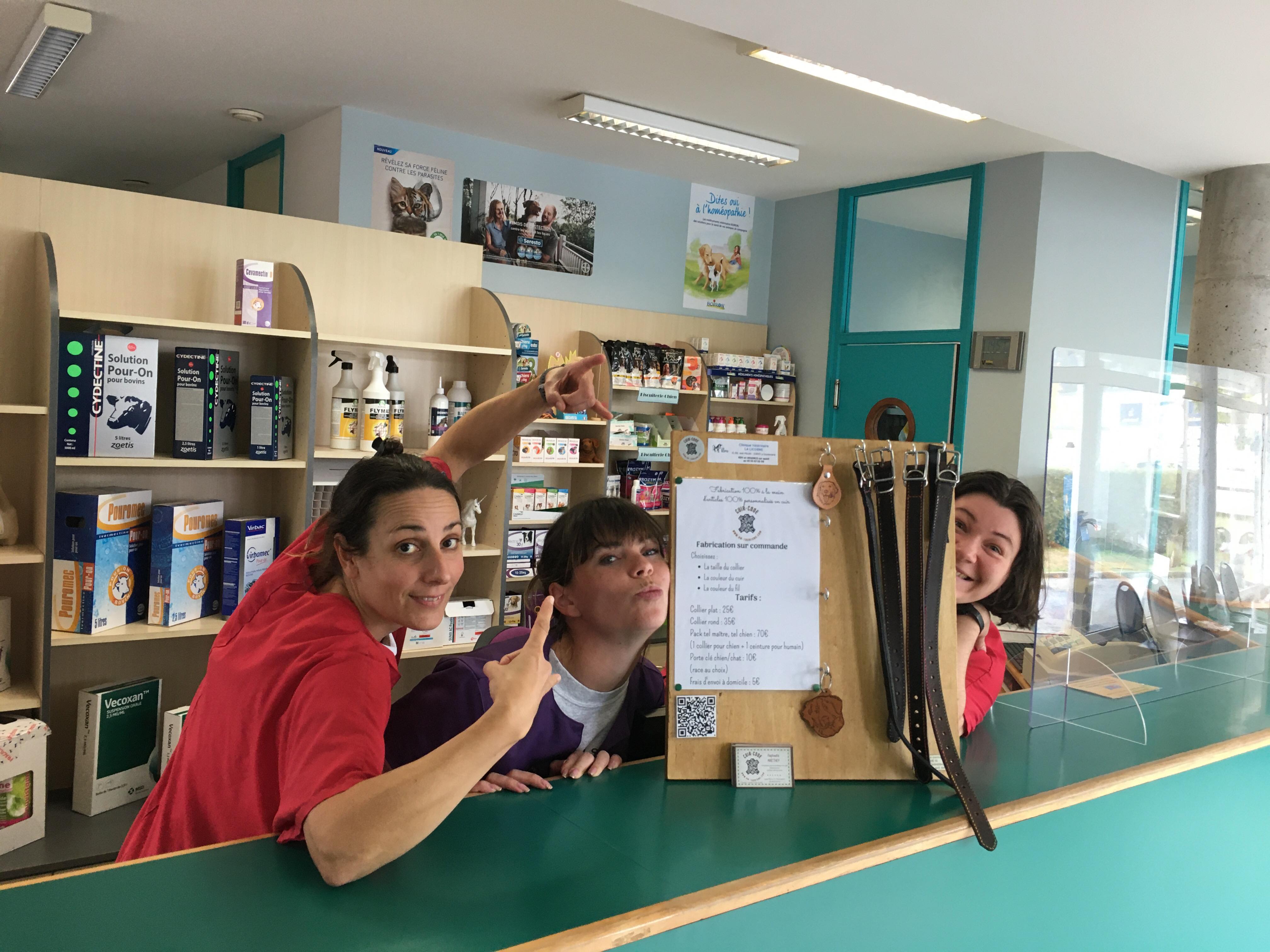 Clinique vétérinaire la licorne en Creuse (23)