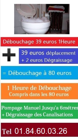 Debouchage-wc
