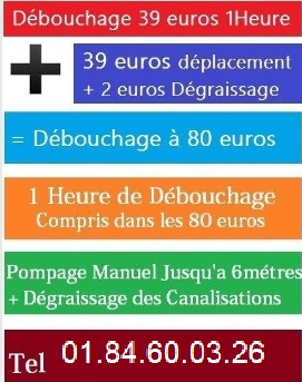 Debouchage-wc-broyeur-leblanc-mesnil-tel