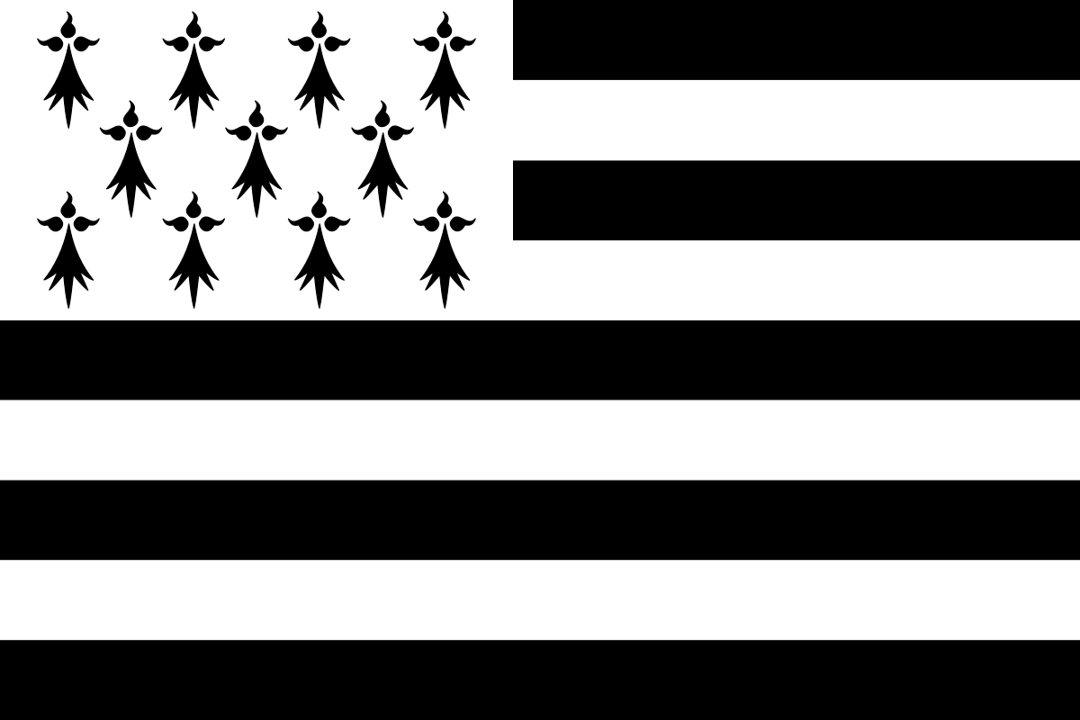 Gwenn ha Du -11 mouchetures-svg