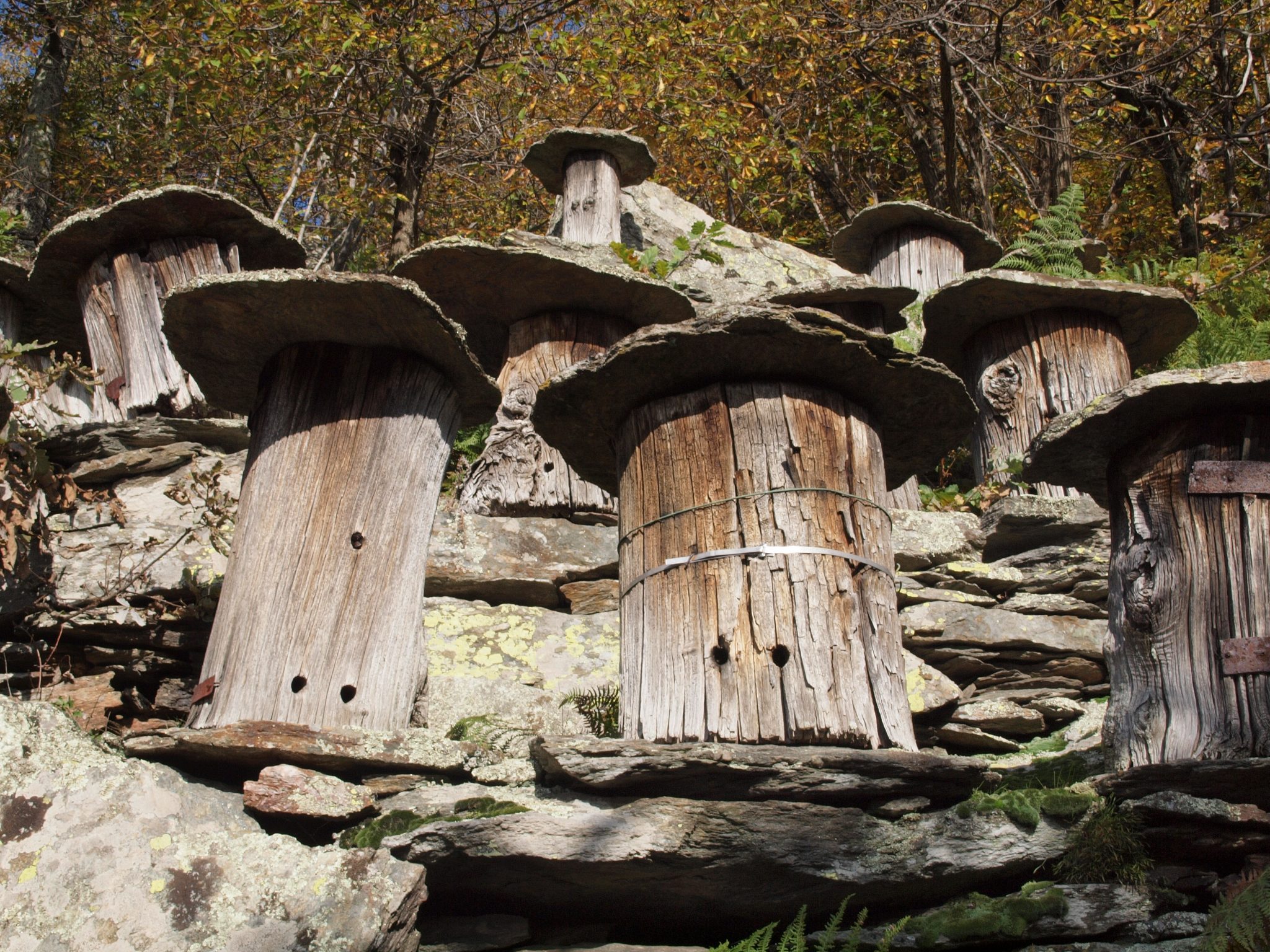 Ruche-tronc-portrait-3-2048x1536