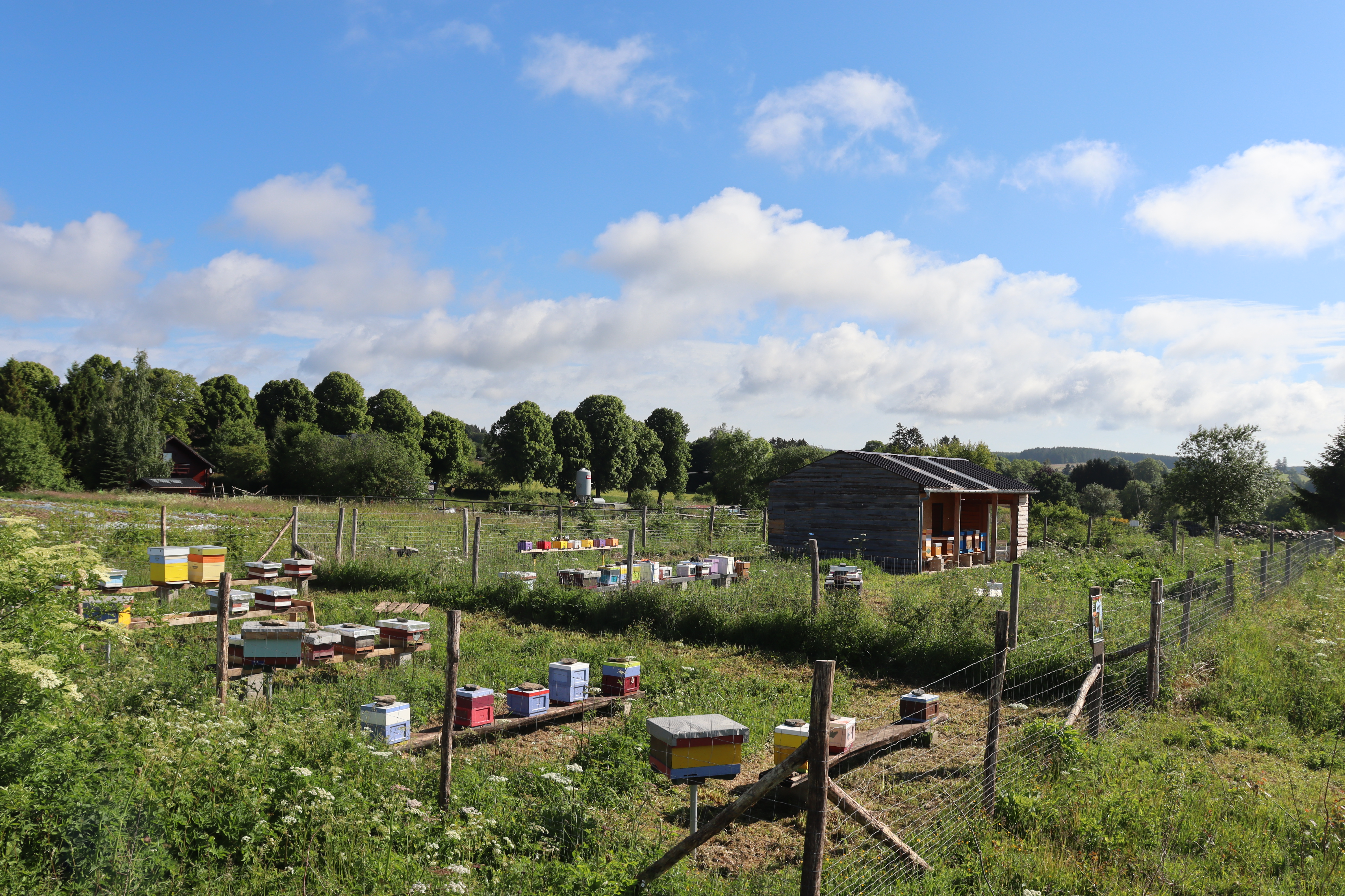 Station-fecondation-202206-8-