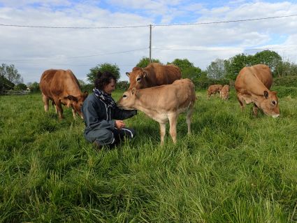 Une démarche structurante pour la coopérative d’élevage, la CAVEB