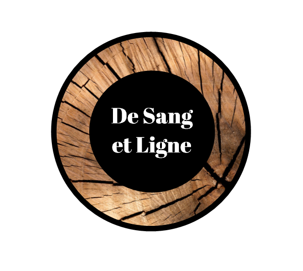 Logo-DSEL-sur-fond-blenc