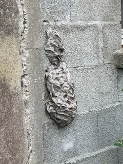 IMG 4712