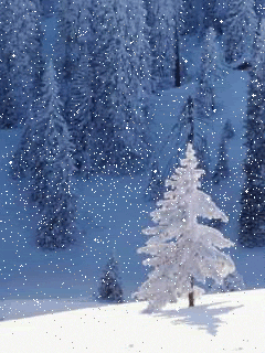Schnee3