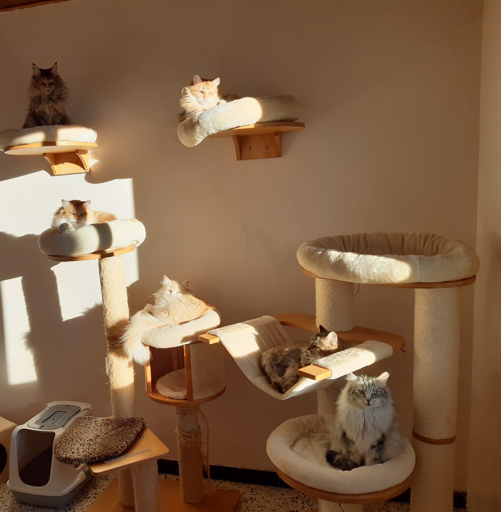 20220105 093337 copie