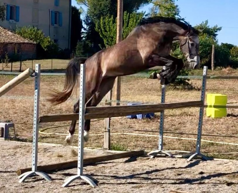 Jalis-saut-en-liberte
