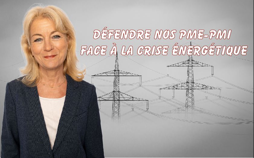 Défendre les PME-PMI de Haute-Marne face aux tarifs EDF