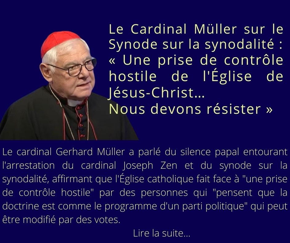 Cardinal-Muller-sur-Synode-sur-la-synodalite-Une-prise-de-controle-hostile-de-l-Eglise-de-Jesus-Christ-Nous-devons-resister-1-