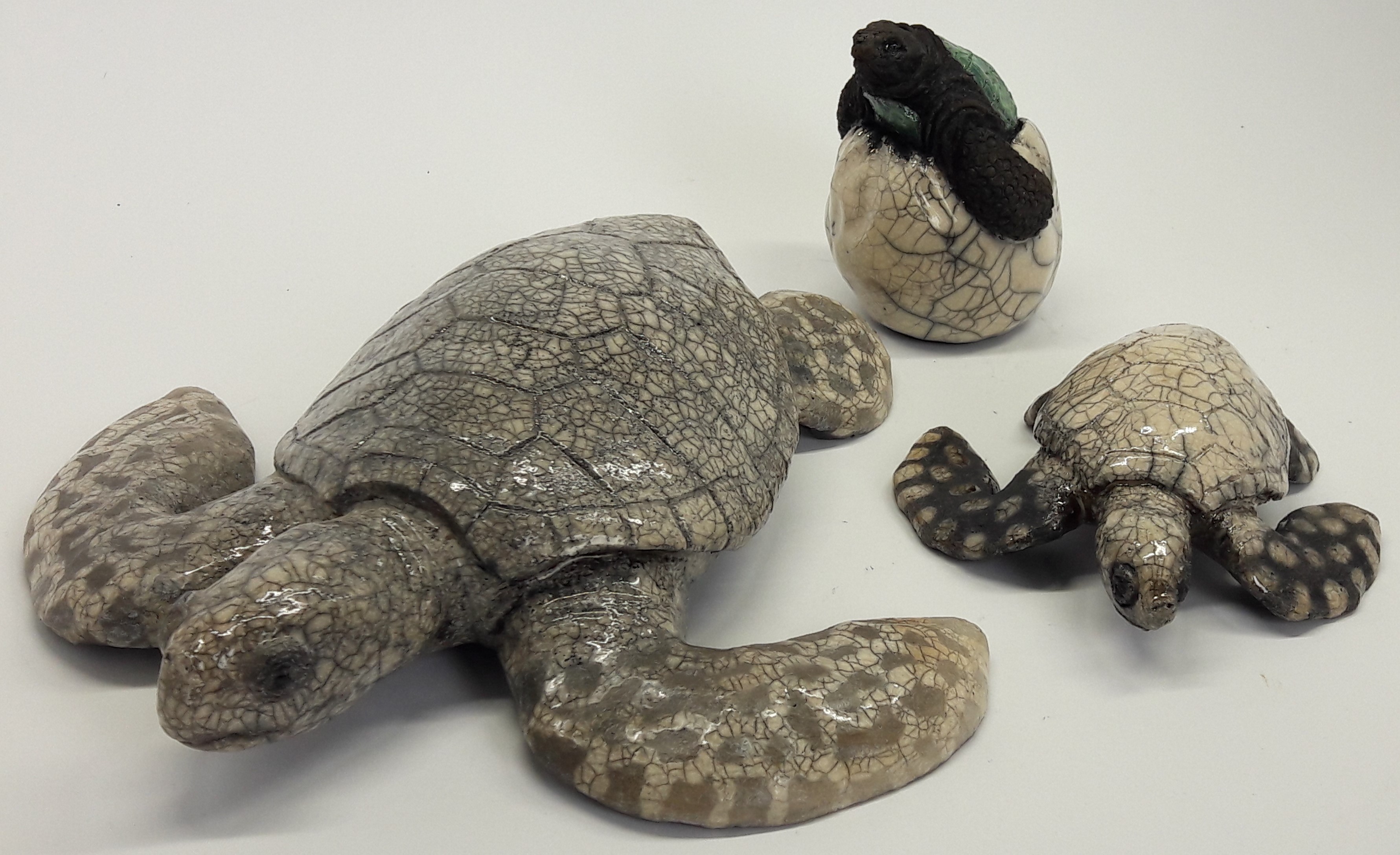3 tortues