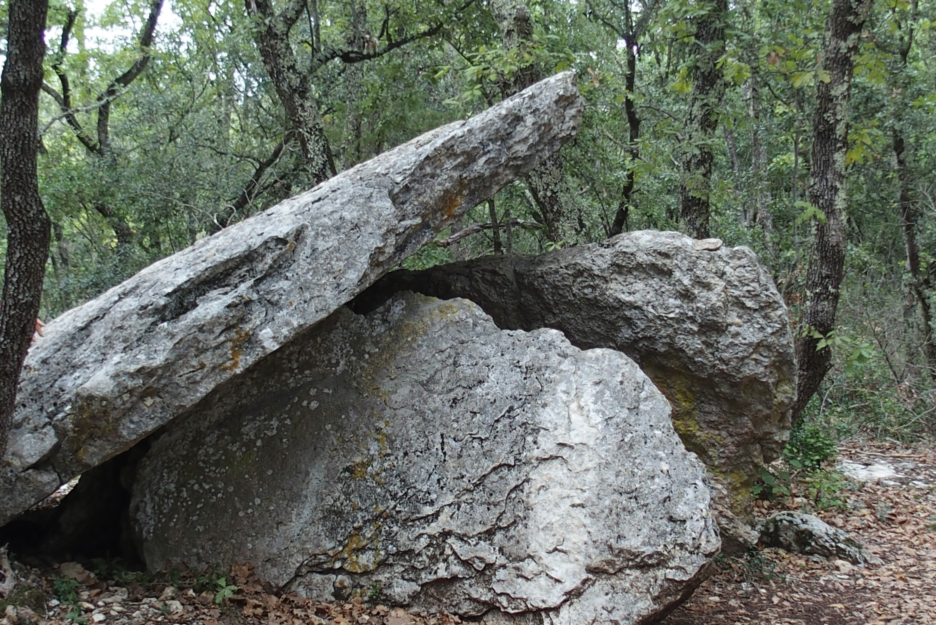 Habitats-du-Serre-de-Fabre-39-