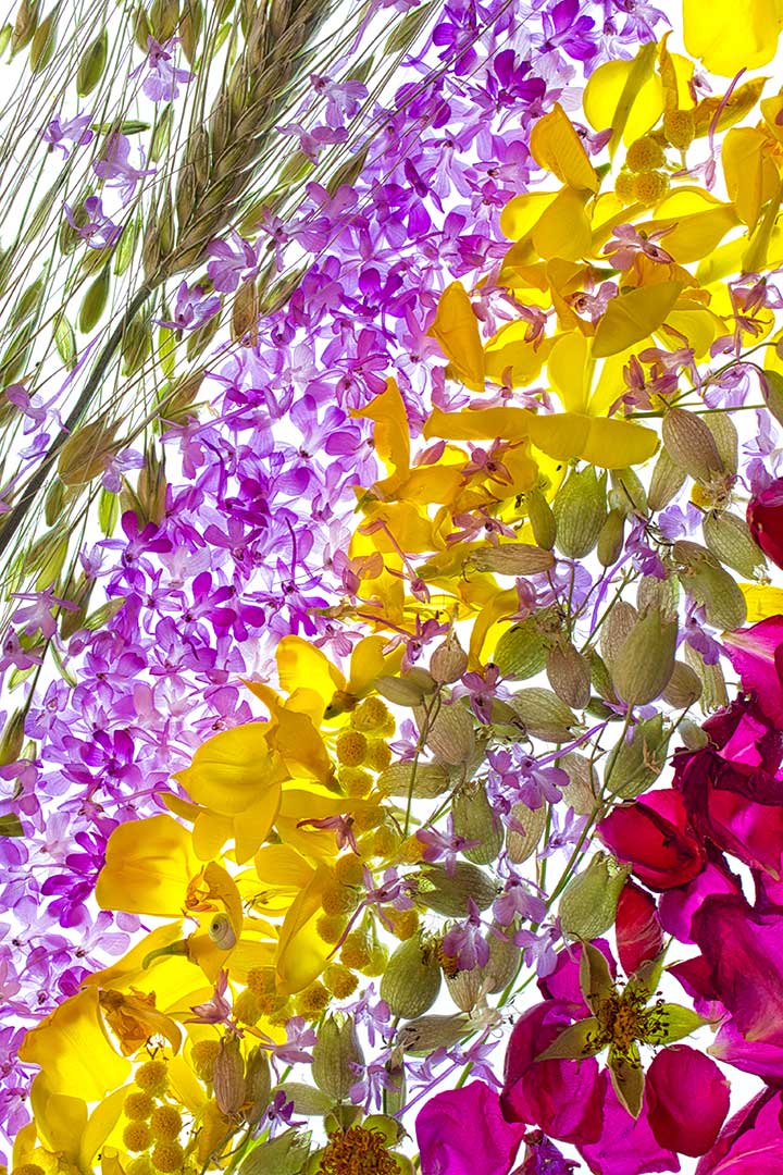 Bouquet f b