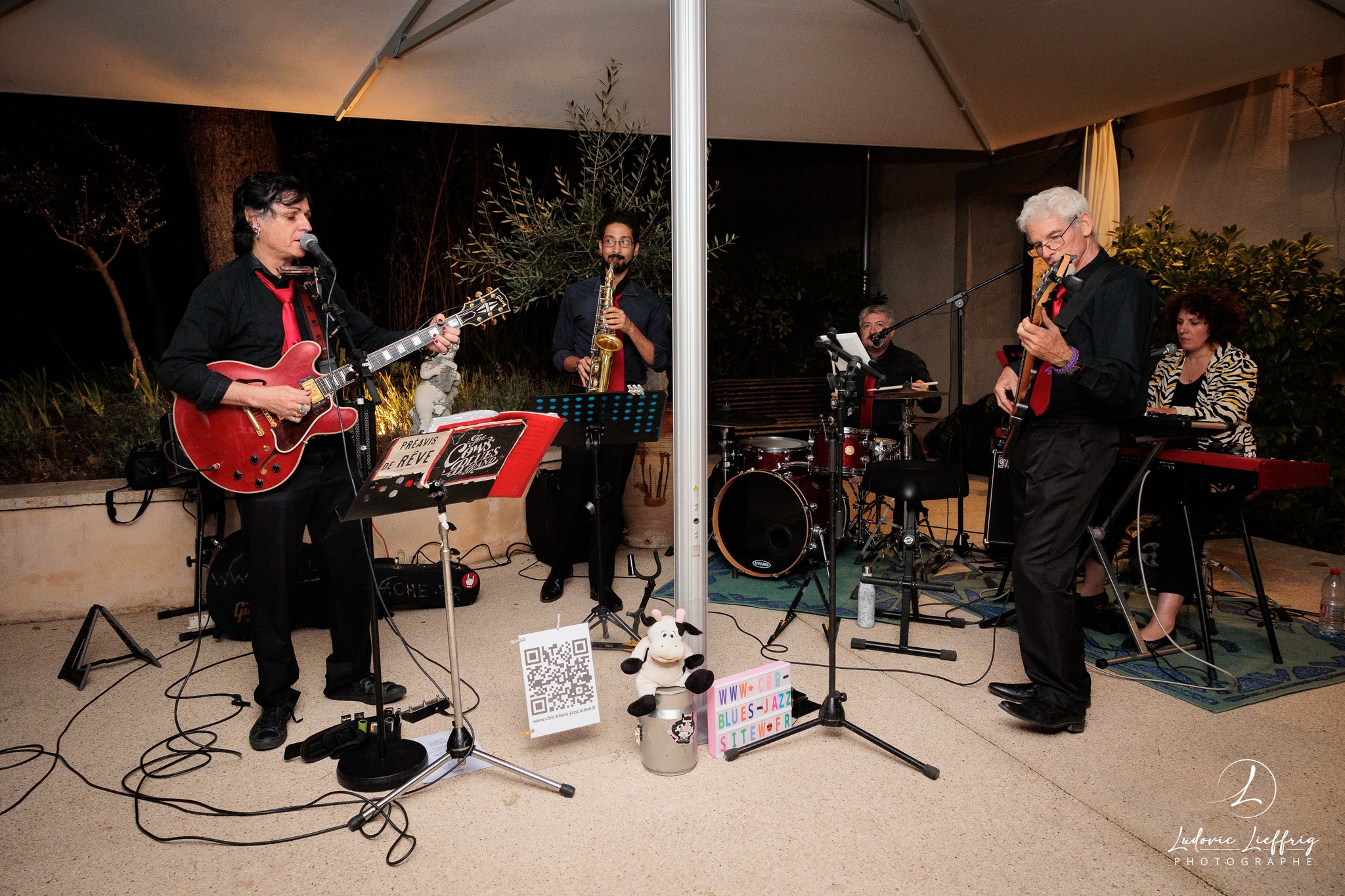 Groupe de blues, montpellier, sete, frontignan , cabestany, perpignan , nimes , hérault, occitanie, animation mariage, orchestre mariages