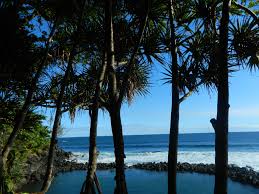 Images 1 