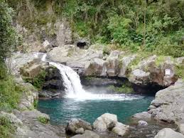 Images