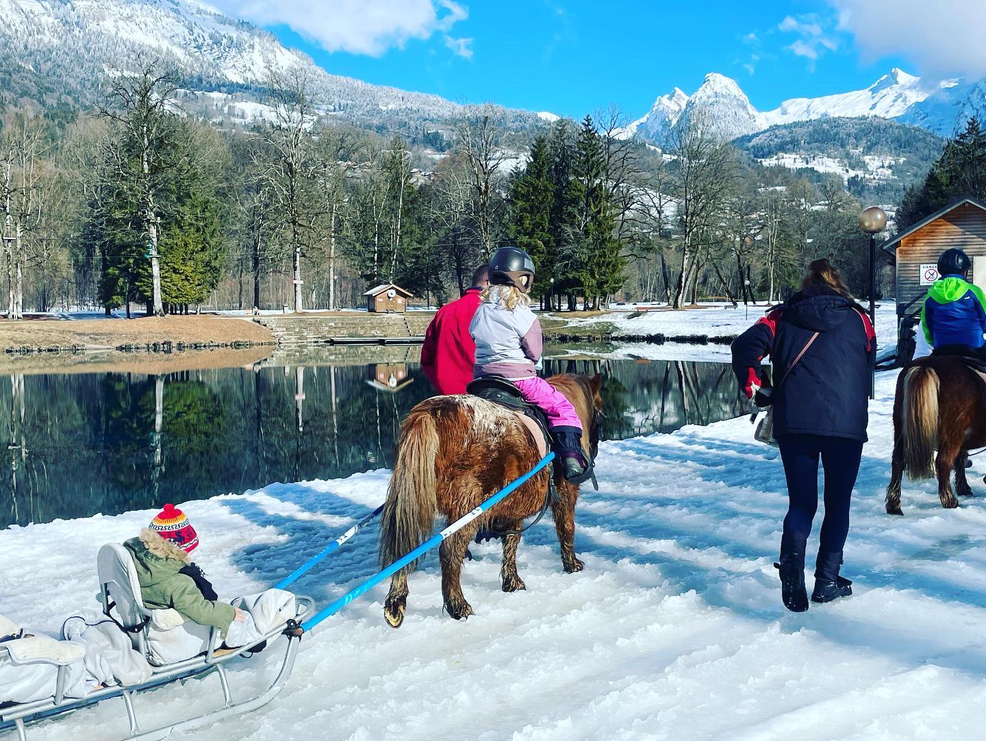 Poney-luge1
