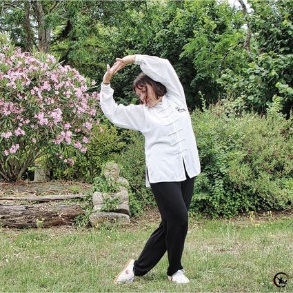 Qigong bourgoin taichi bourgoin qigong maubec taichi maubec ame artdumieuxetre adeline viviant