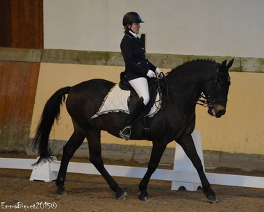 Belmonte2015