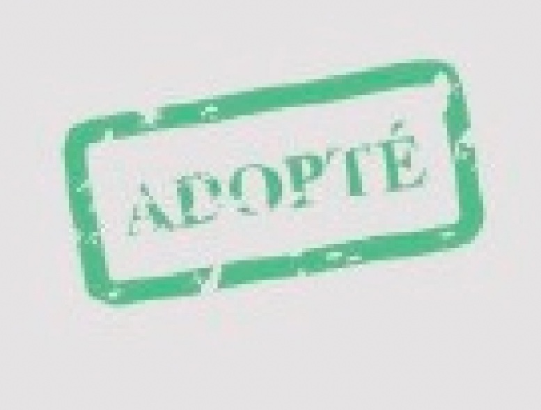 Adopte-Square