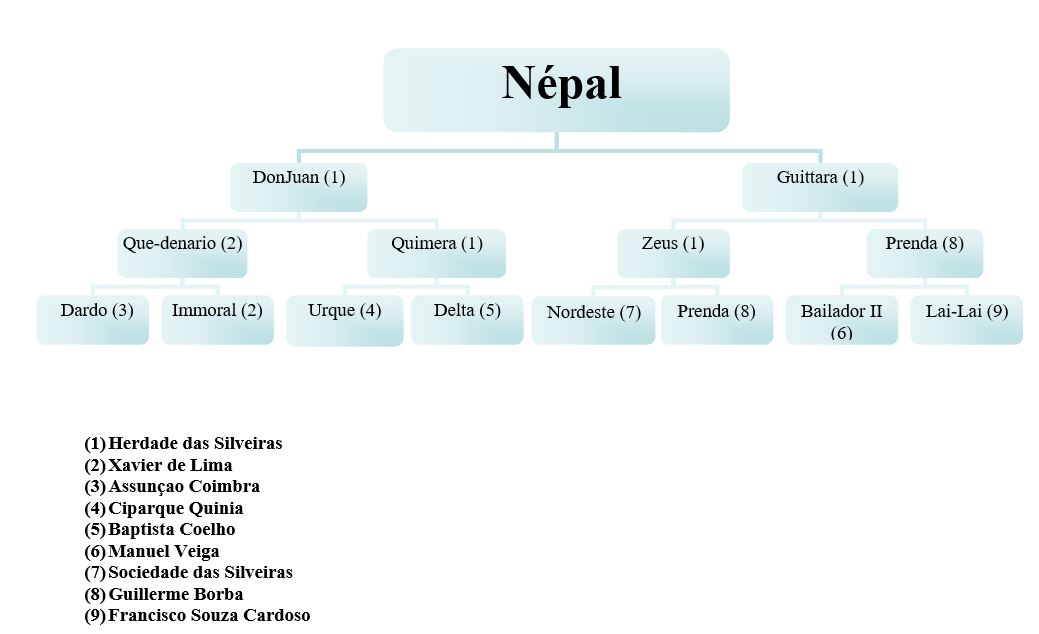 Zoom Nepal2