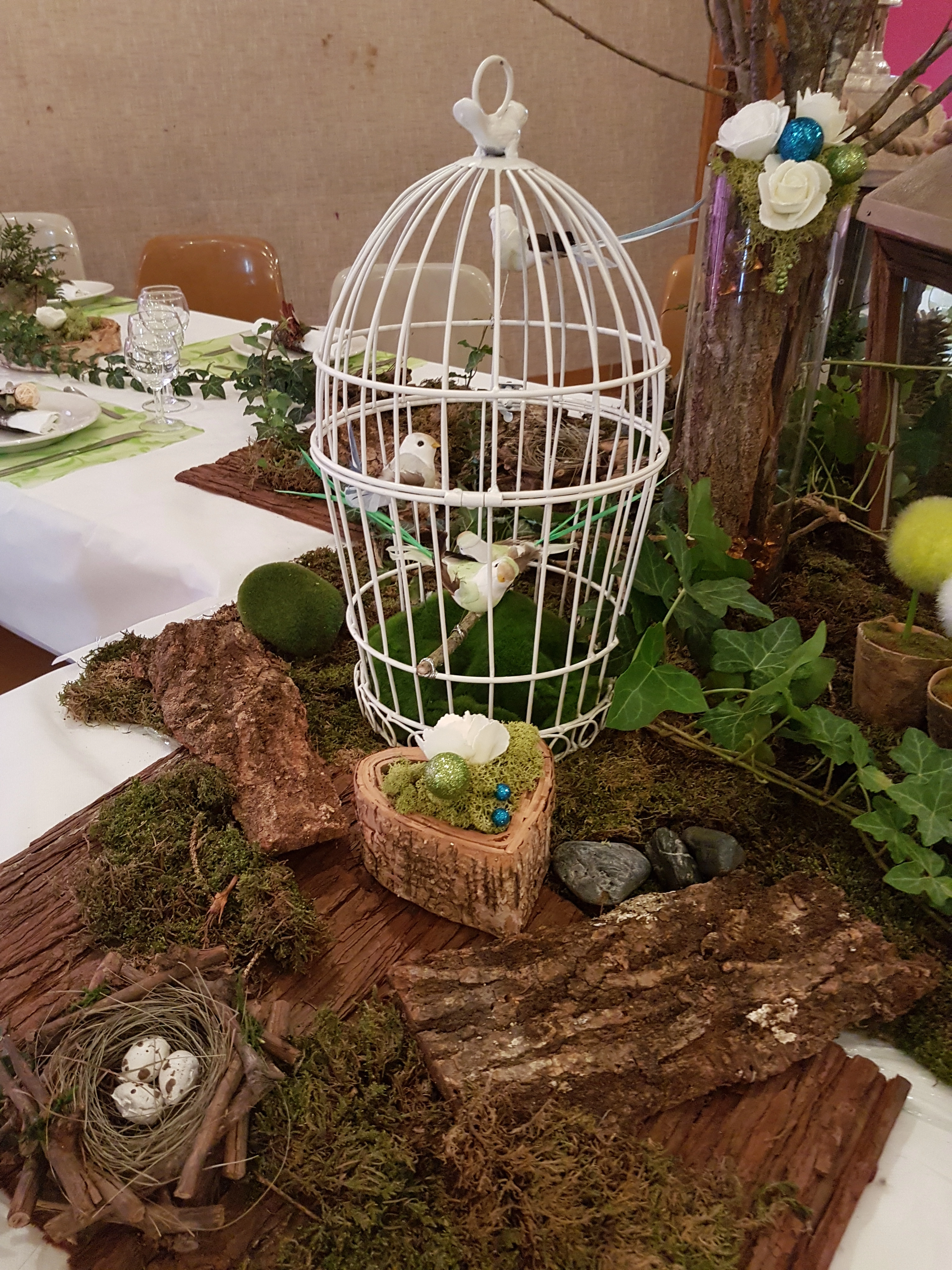 Cage 1