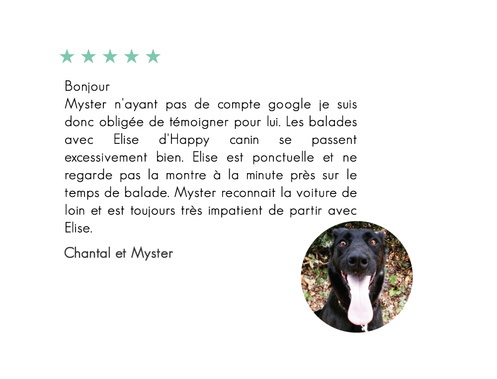 Myster