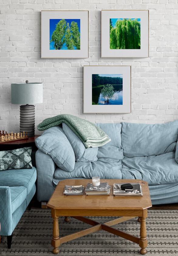 Bright studio apartment living room petit arbre   saule pleureur   chiacchierate