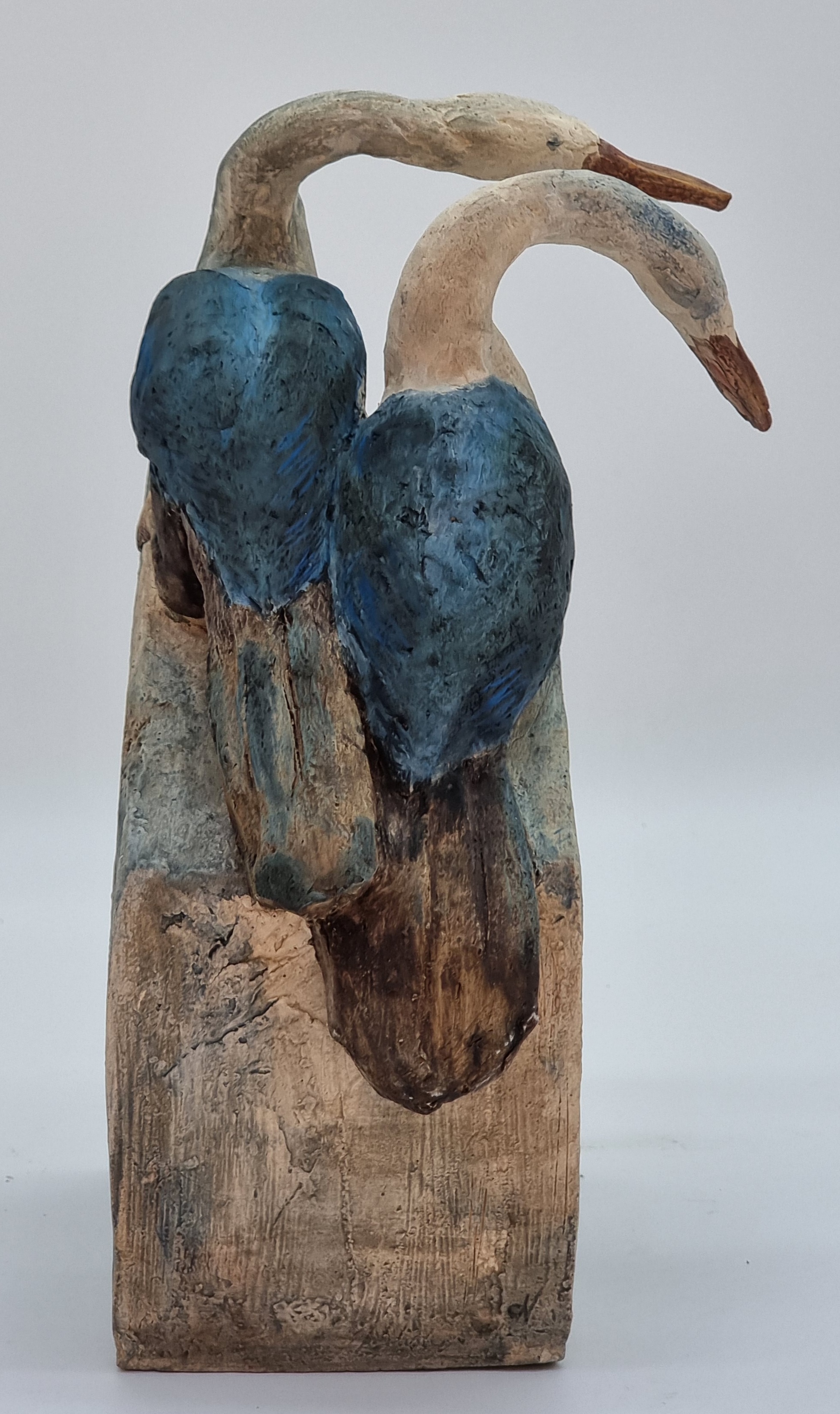 Oiseaux 1