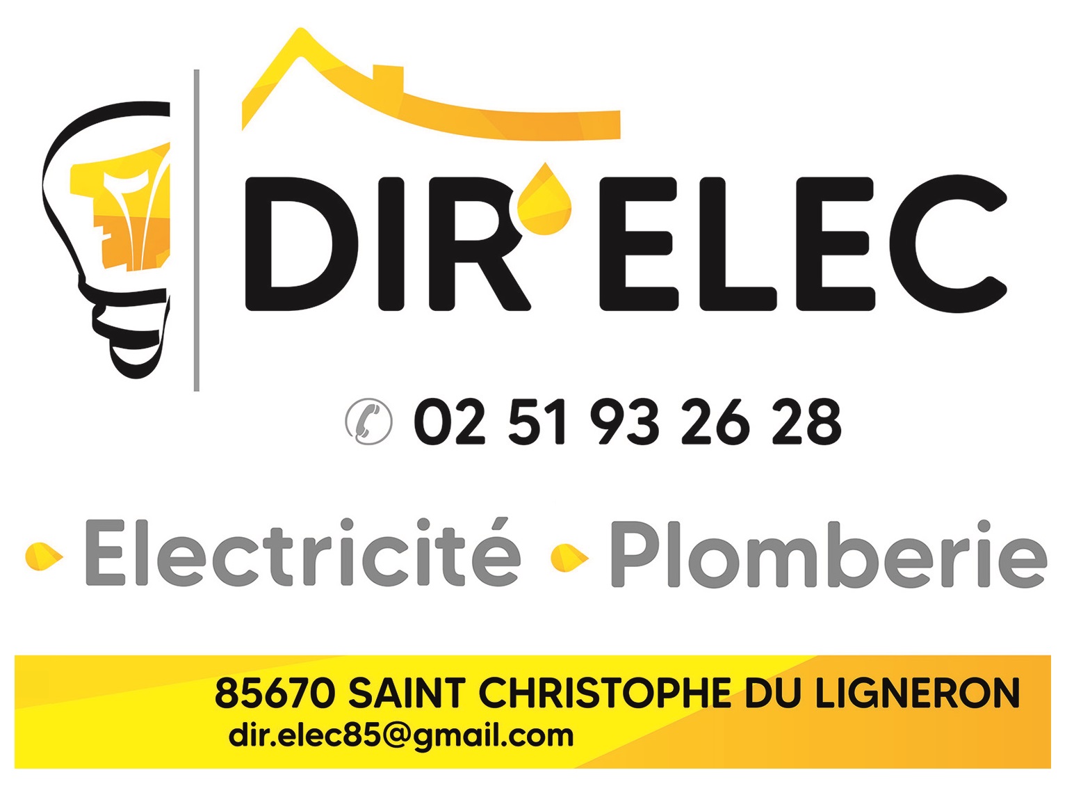 Dir elec