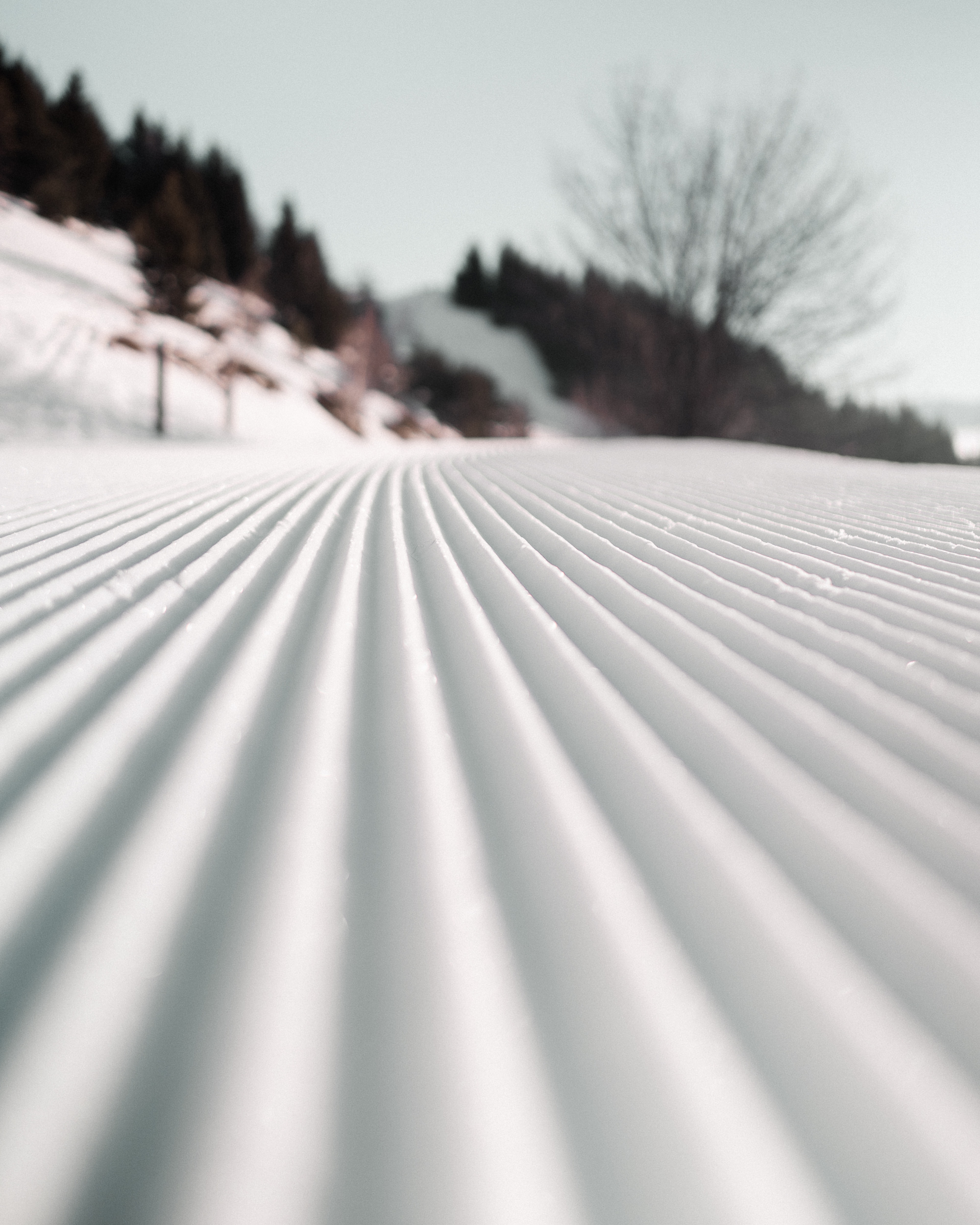 Piste-zoom