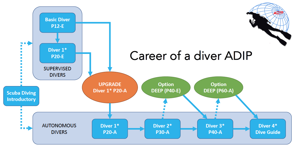 Career adip diver