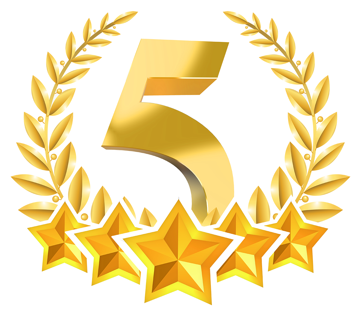 Kisspng-steadfast-it-5-star-customer-service-home-care-ser-5-stars-5abe5cff1d6ab5-4826305315224250871205