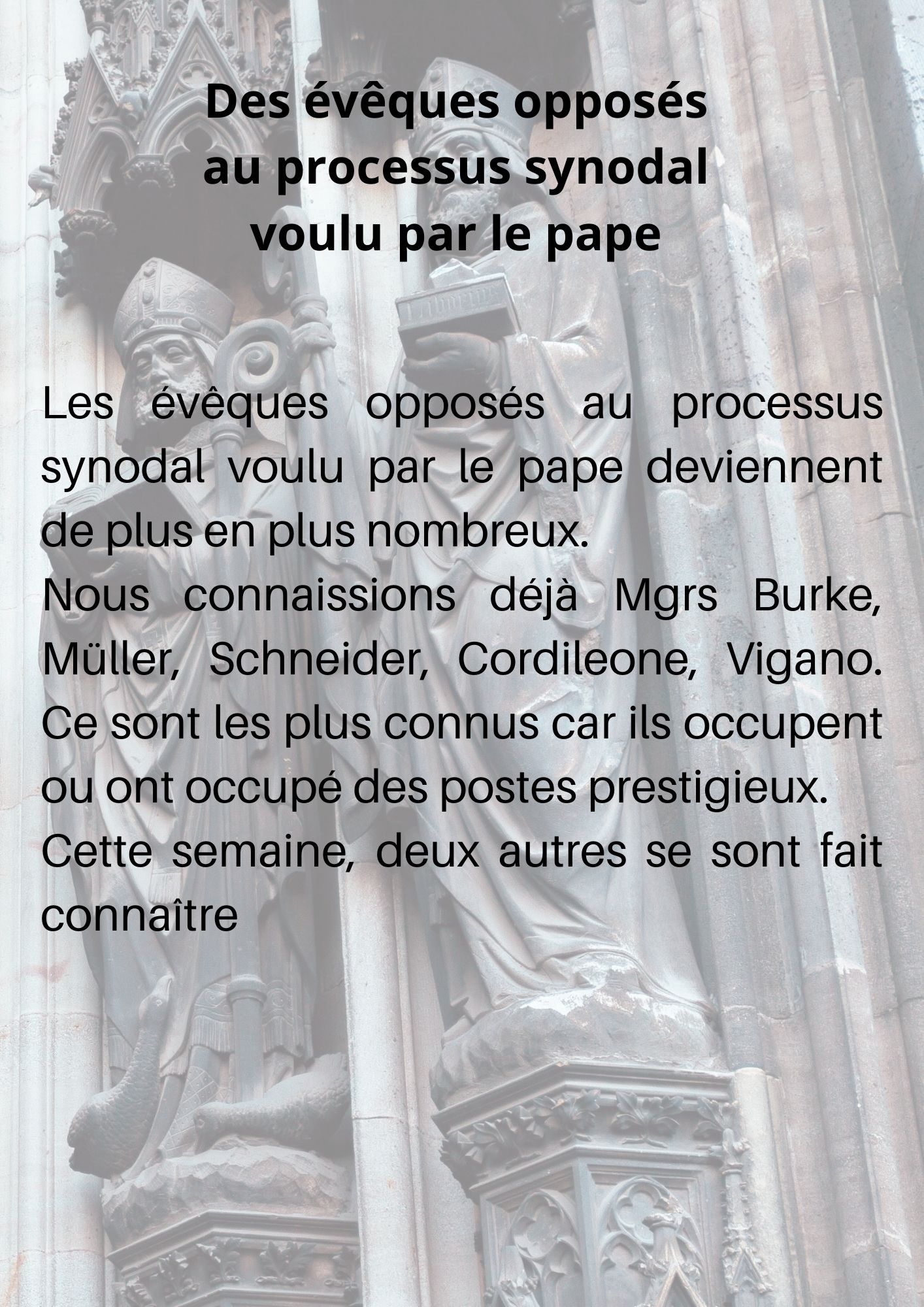 Des-eveques-opposes-au-processus-synodal-voulu-par-le-pape