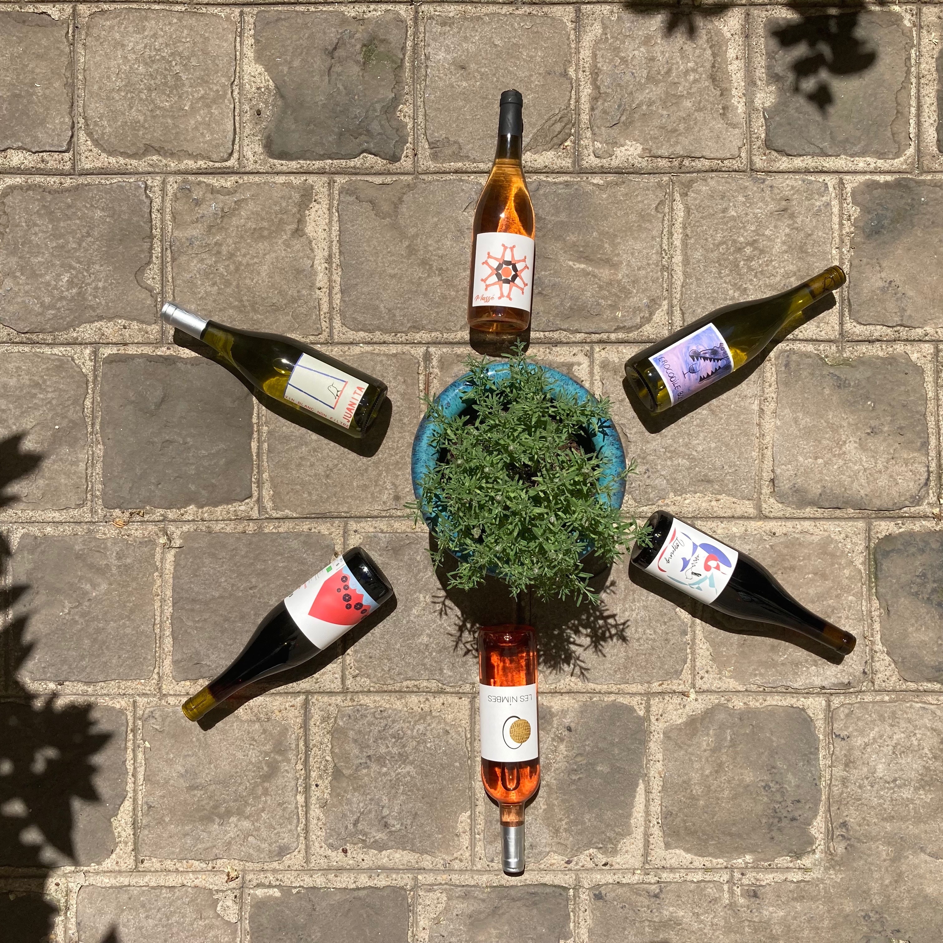 6-ref-rosace-plante