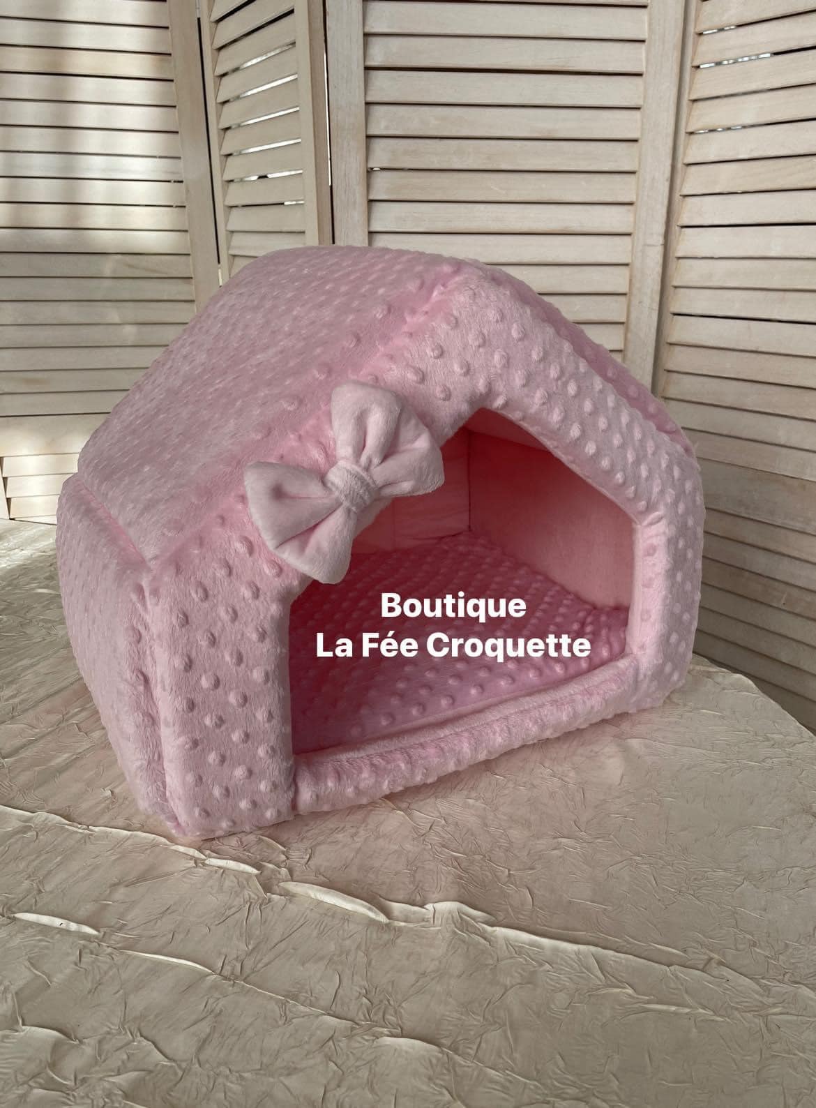 313103973 454589886778247 2488747464212410170 n