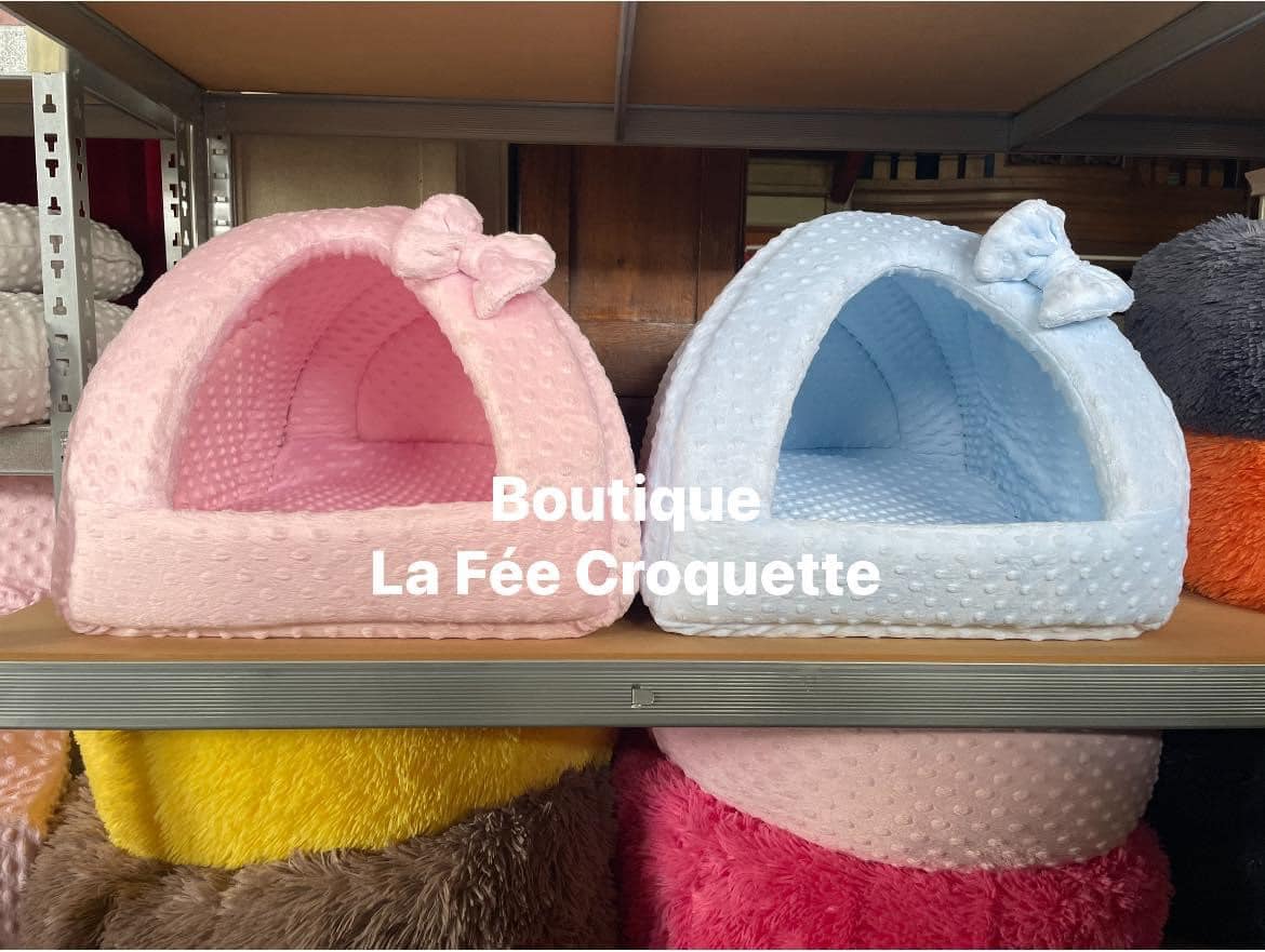 310355033 429879569249279 4183582359795272005 n