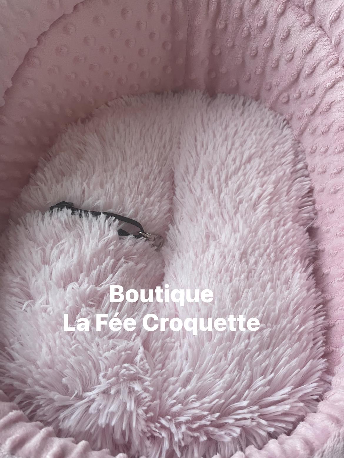 Couffinauto22
