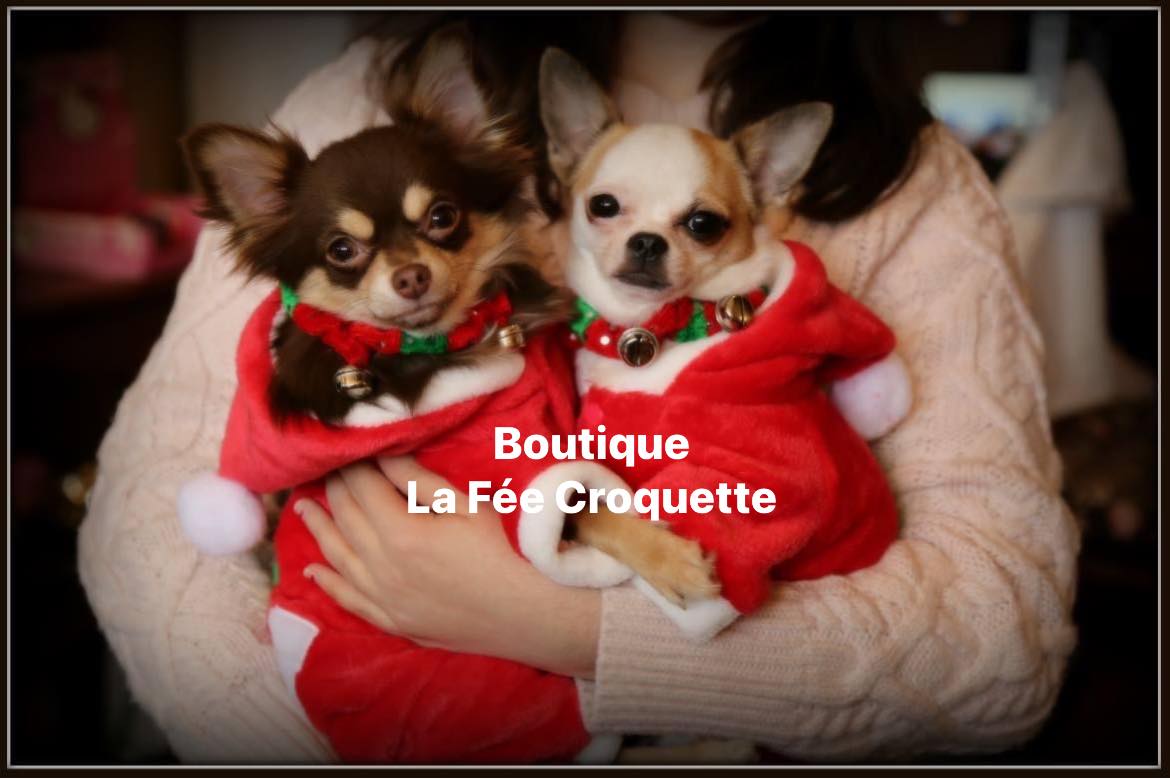 314414154 458793696357866 1260178817059426493 n