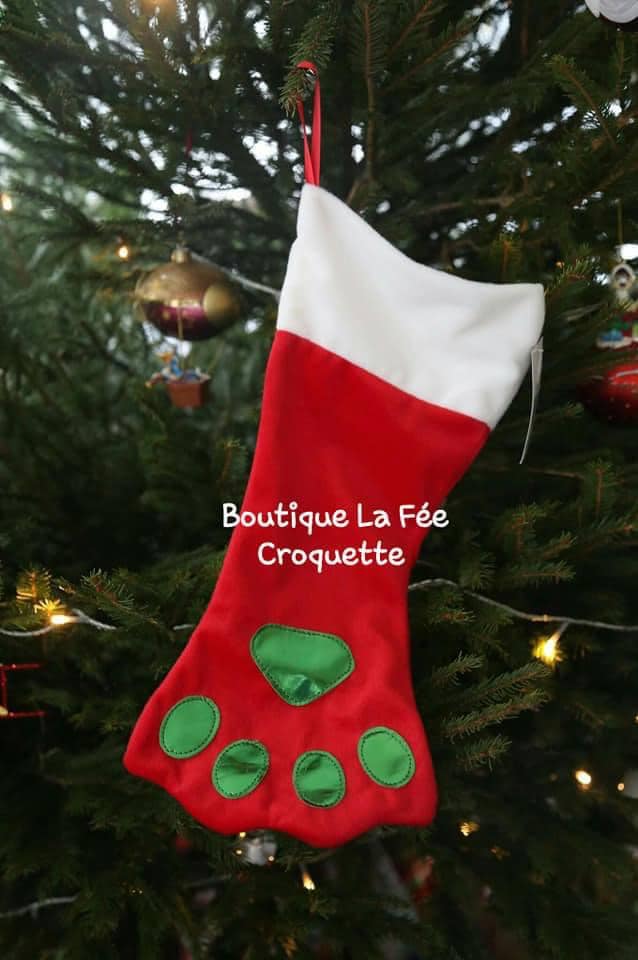 265377836 239047121647079 1962491764056696511 n