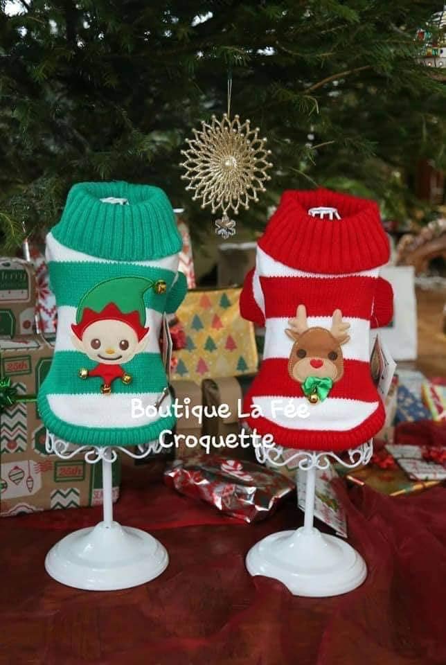 314473781 458792936357942 8595526640379994822 n